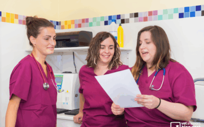 Personal Accountability in your Veterinary Life: Part 2 Procrastination